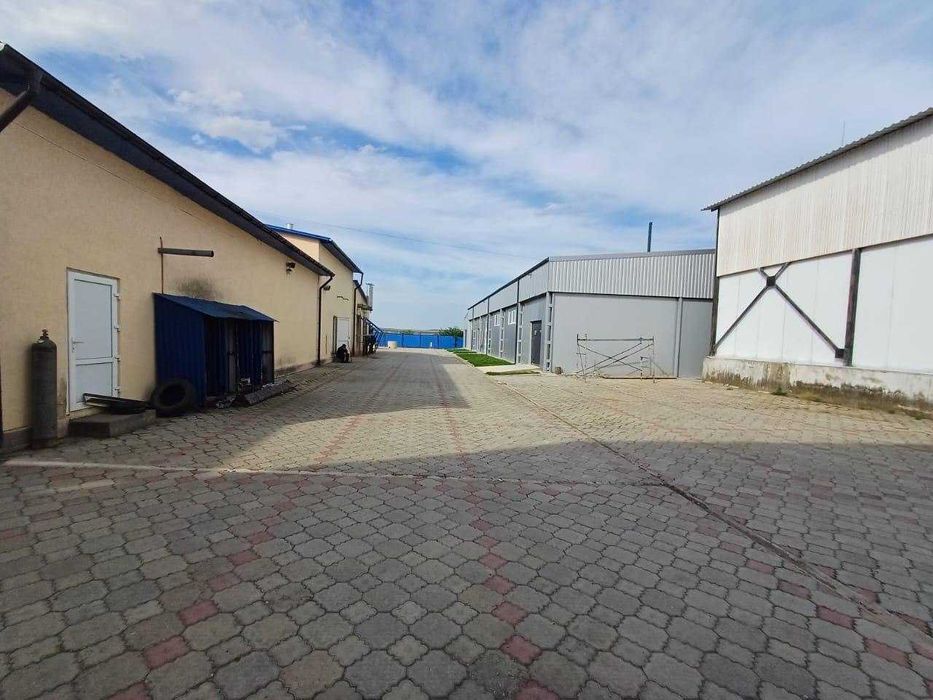 SALE-40%! Мʼясокомбінат потужністю 10 тонн/добу готовой продукції
