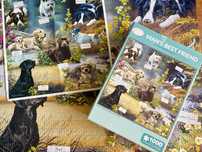 Puzzle z pieskami 1000 elementów