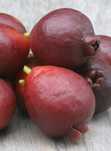 10 sementes araça roxo