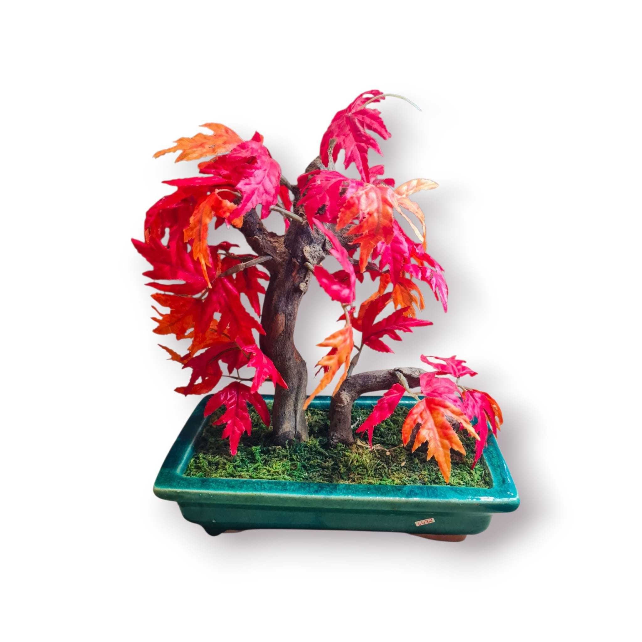 Mini Bonsai Artificial Bordo Vermelho (maple) – Decoração Elegante