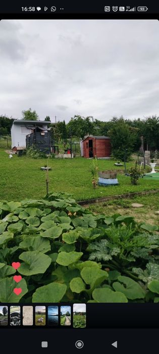 Działka ROD Gostyń - okazja