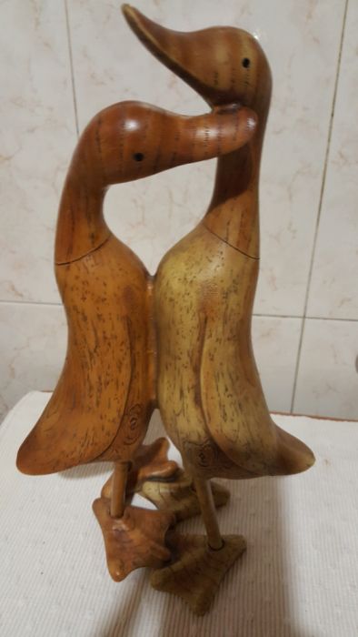 Casal de patos enamorados