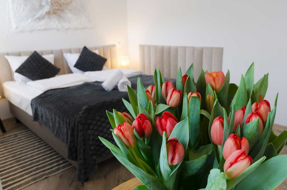 Sylwester w Karpaczu z widokiem na góry wypoczynek parking śniadania!