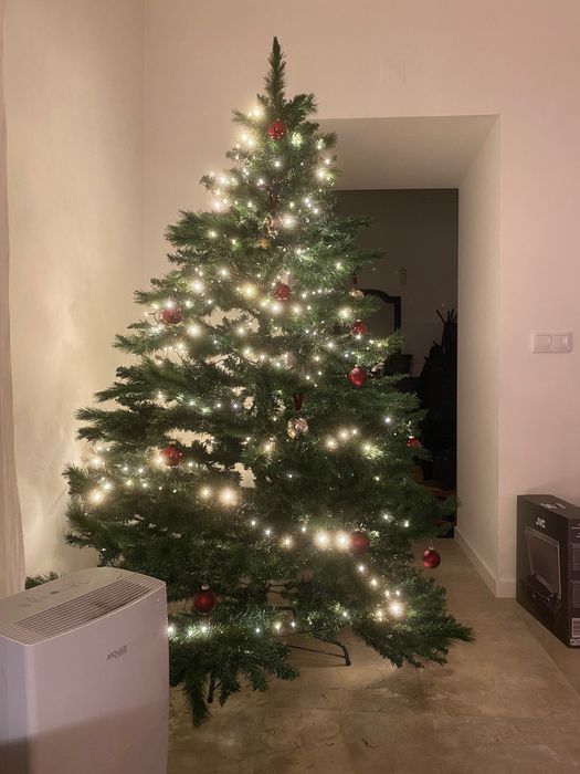 Árvore Natal grande - 210 cm