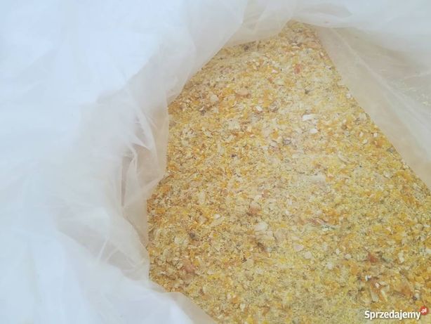 Kukurydza ziarno całe suche lub mielone kiszone  w workach big bag