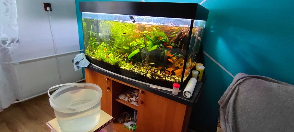 Akwarium 250 litrow