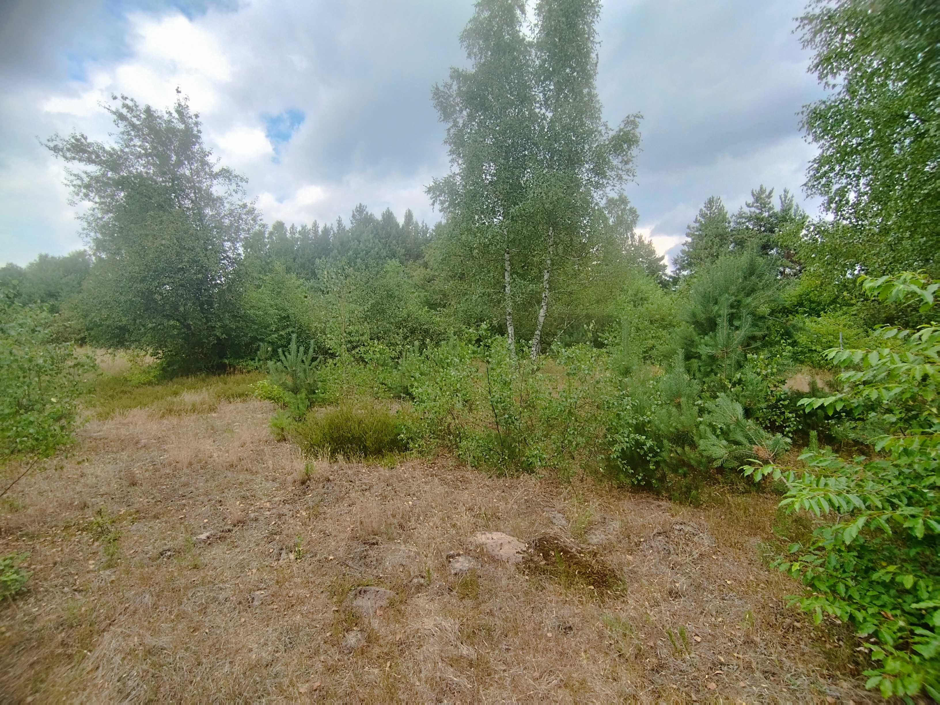 Działka 2700m2 na dom lub letniskowa