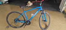 Rower crossowy dual Trek Dual Sport 3