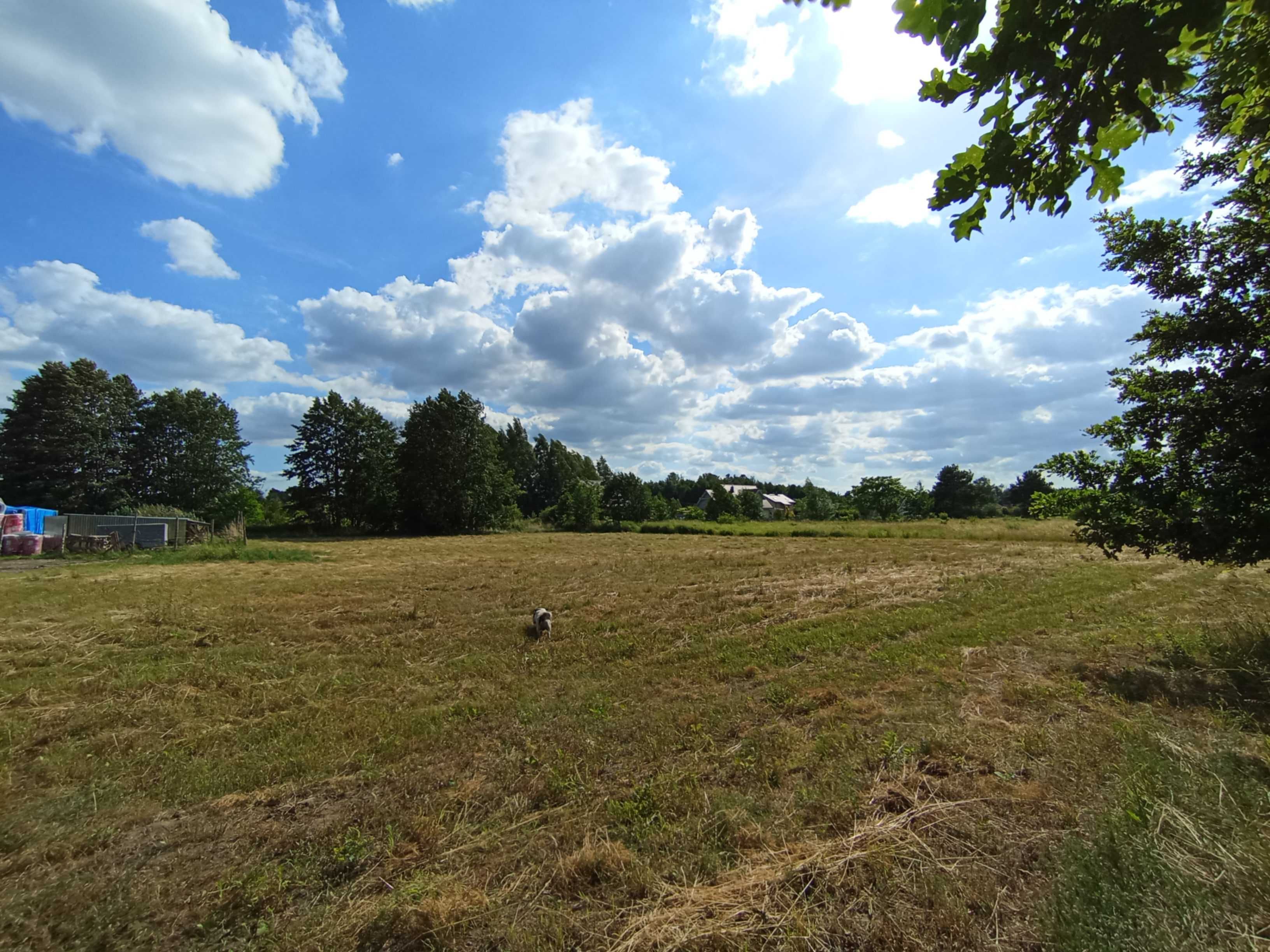 Działka Grodzisk Mazowiecki