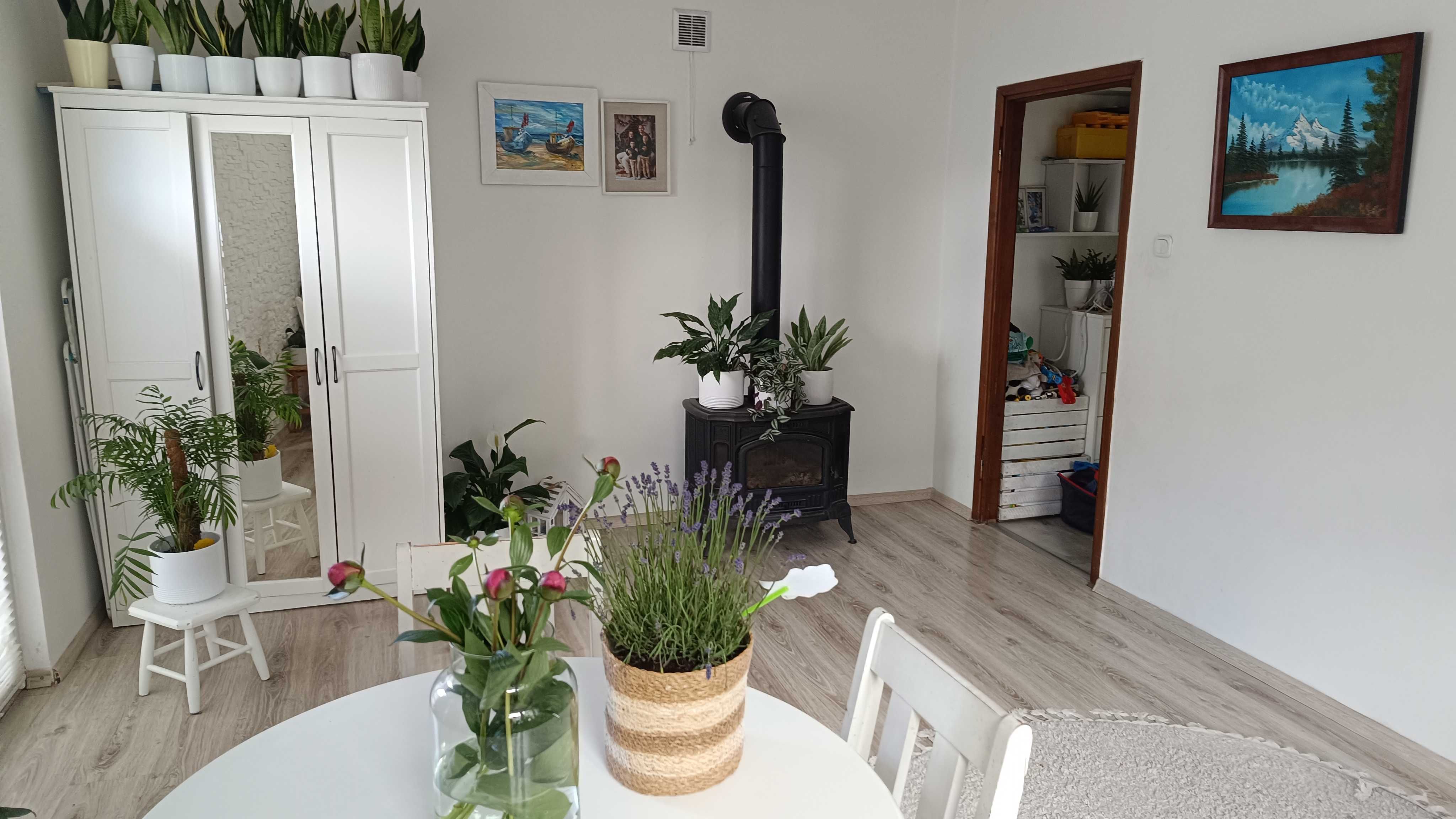 Wynajmę klimatyczne mieszkanie w Tczewie 2 pok. 49m^2