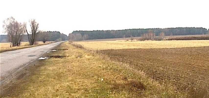 Здам в оренду 10га землі, Чернігівська область