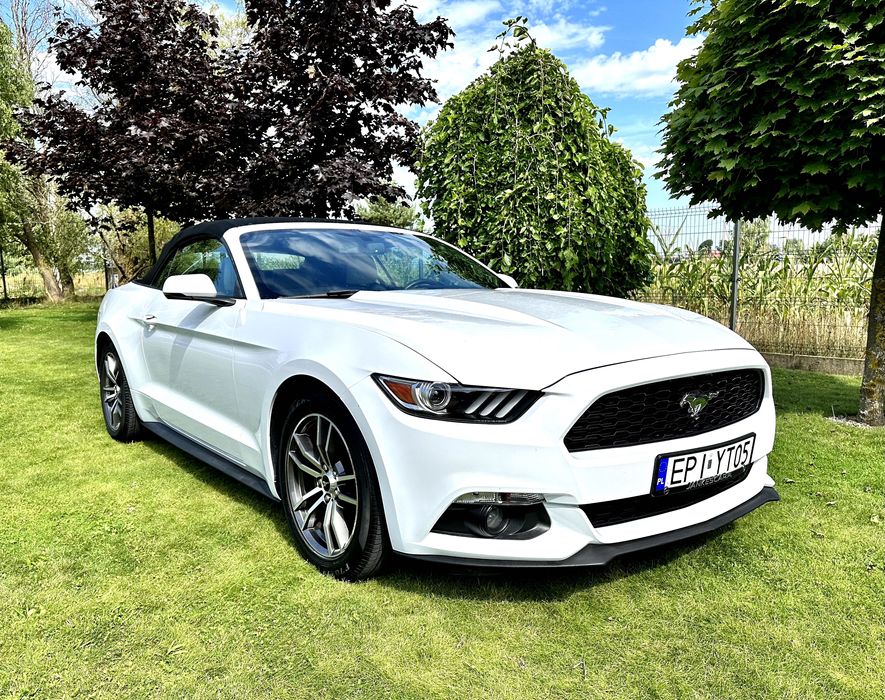 Mercedes Mustang Cabrio Audi Rs A35 GLB AMG wynajem wypożyczalnia aut