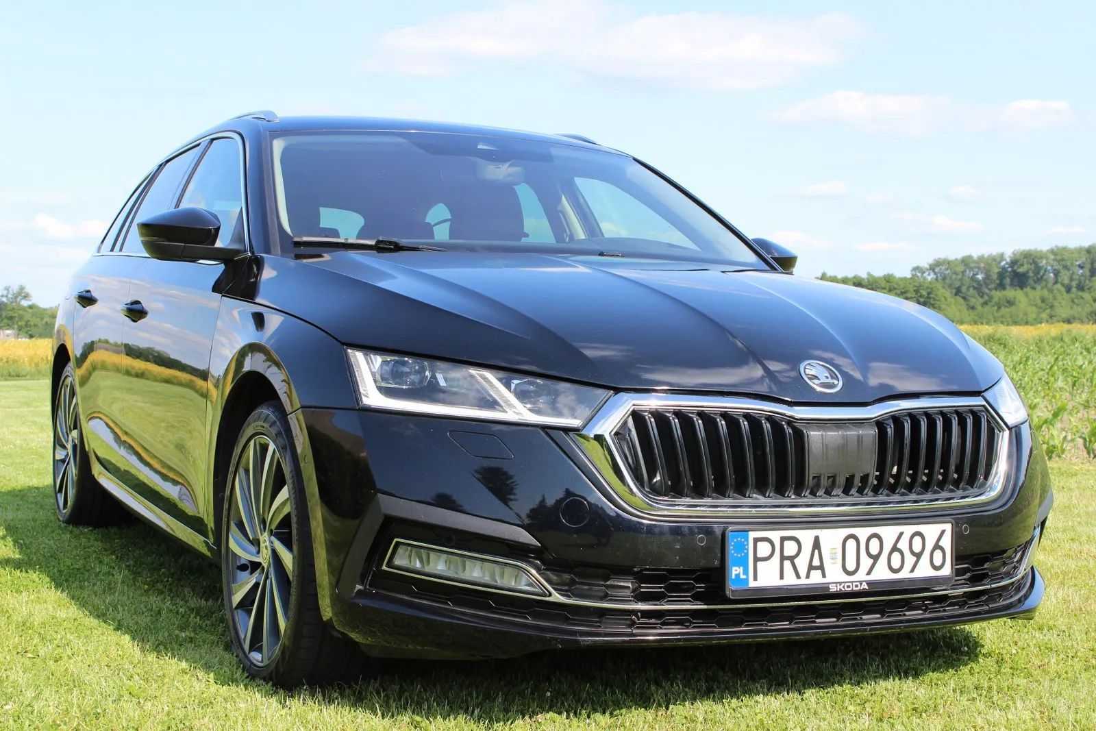 Skoda Octavia *Canton*ACC*Head-Up*Hak*Webasto*CarPlay*Matrix