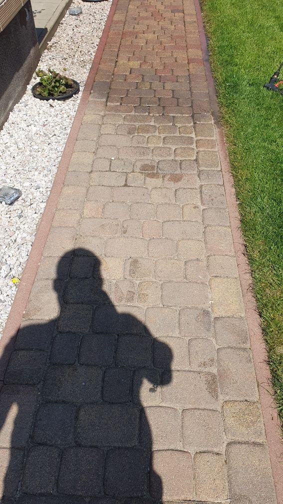 Myjka spalinowa z talerzem do kostki brukowej/Wynajem