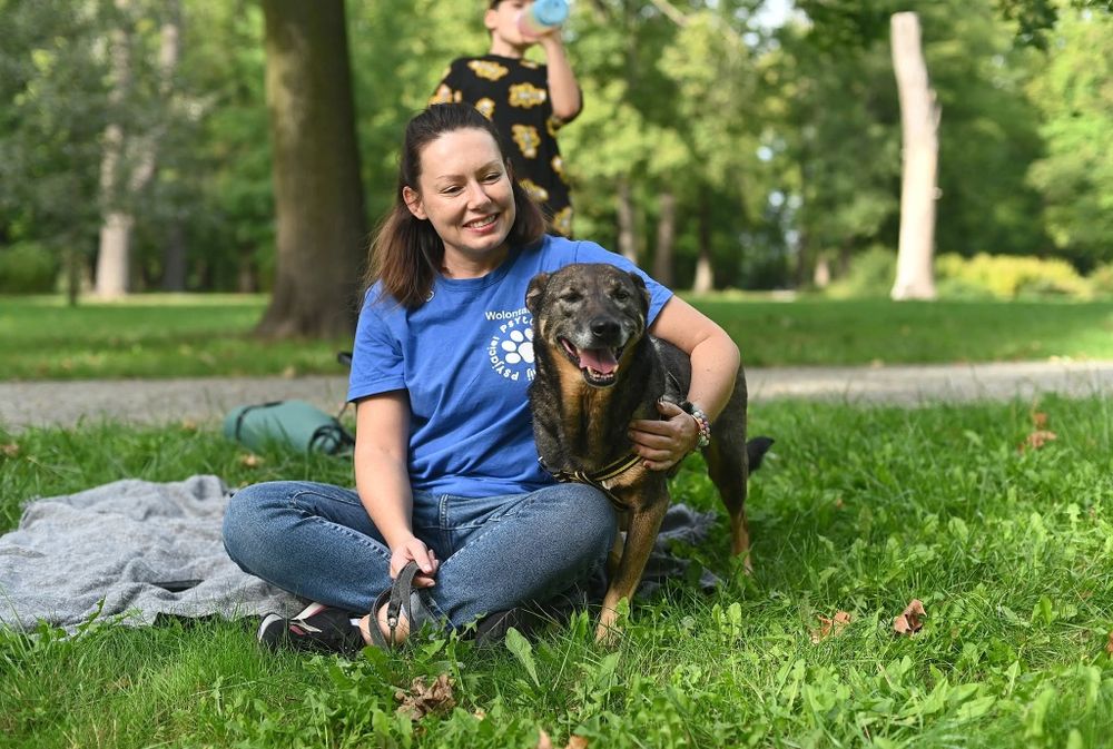 Basterek, uroczy i kochany czeka na dom