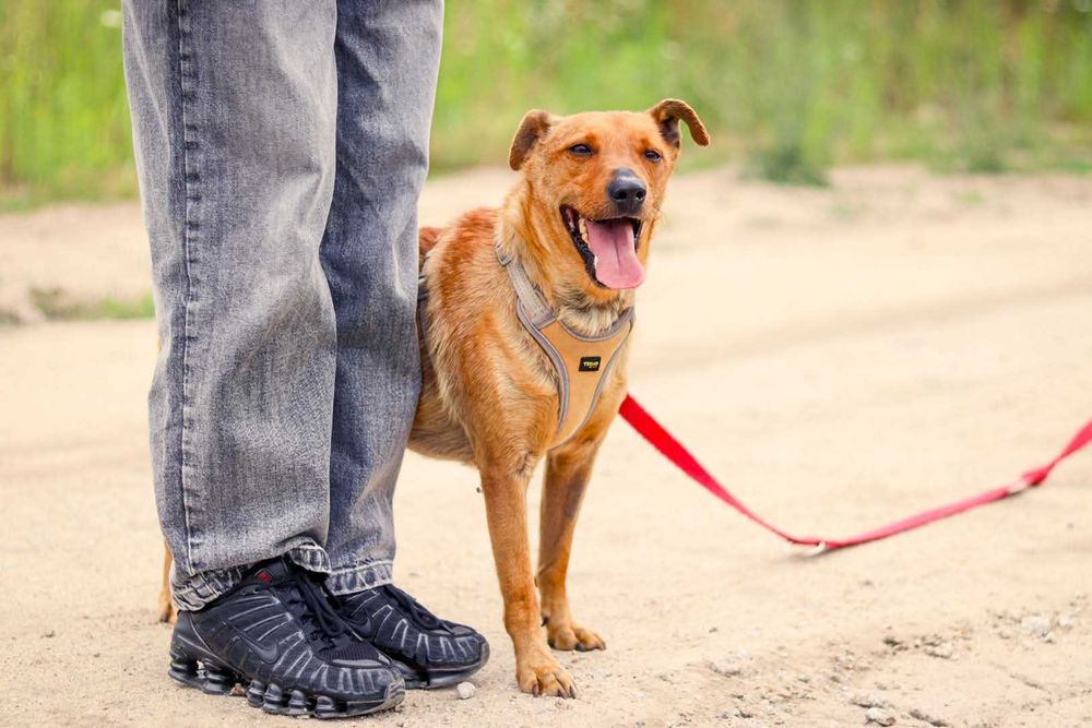 Łuki czeka na ciebie!