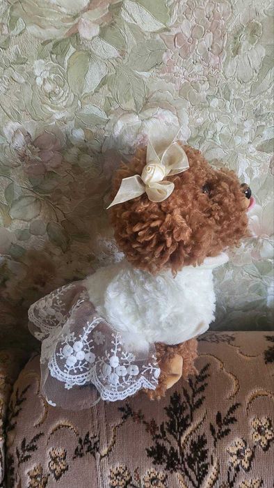 Собачка .гавкає і перекидається .В гарному стані.Все працює.