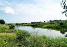 Продаж земельної ділянки зі ставком