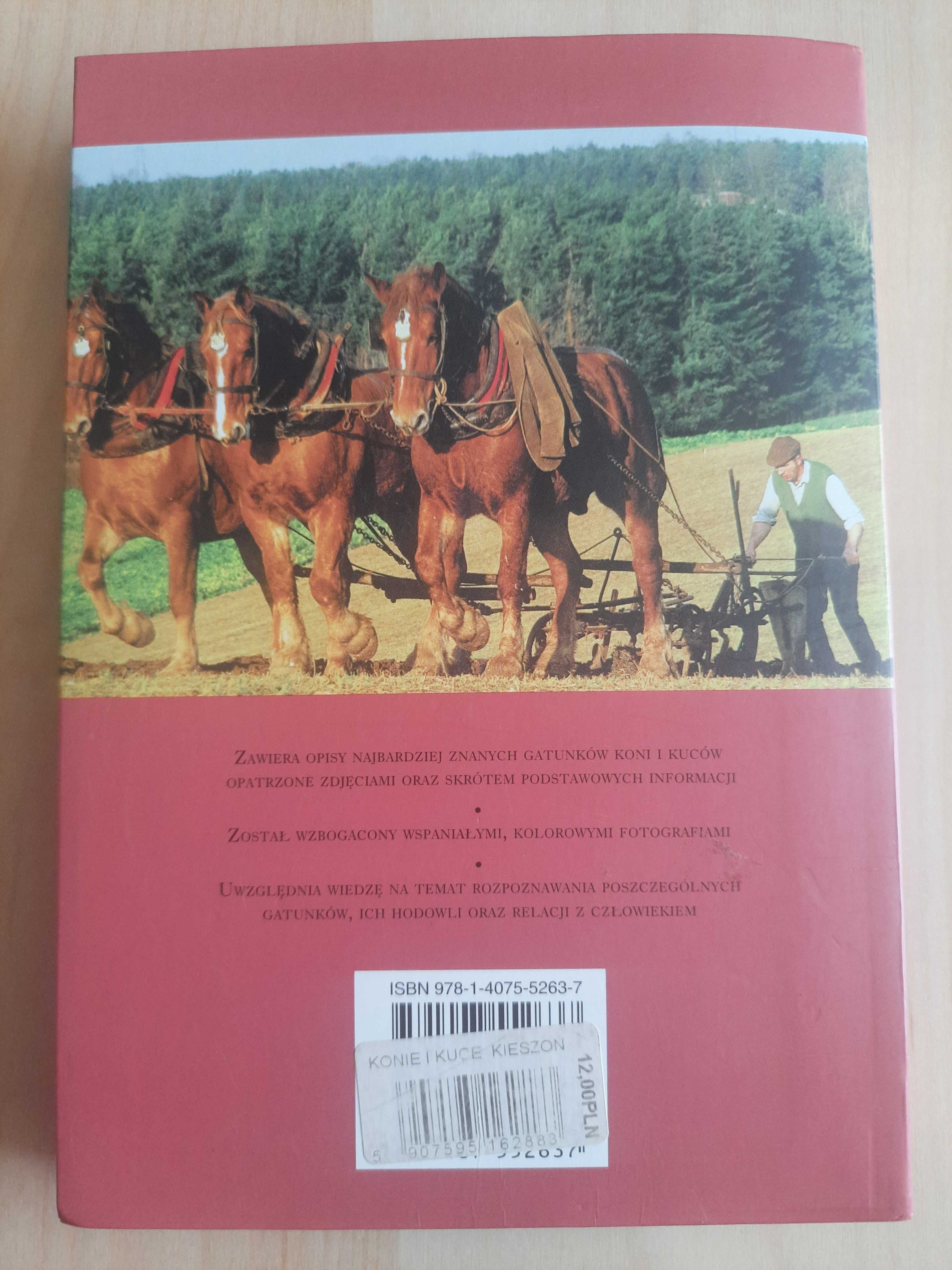 Książka "Konie i kuce - Kieszonkowy przewodnik" - Corinne Clark