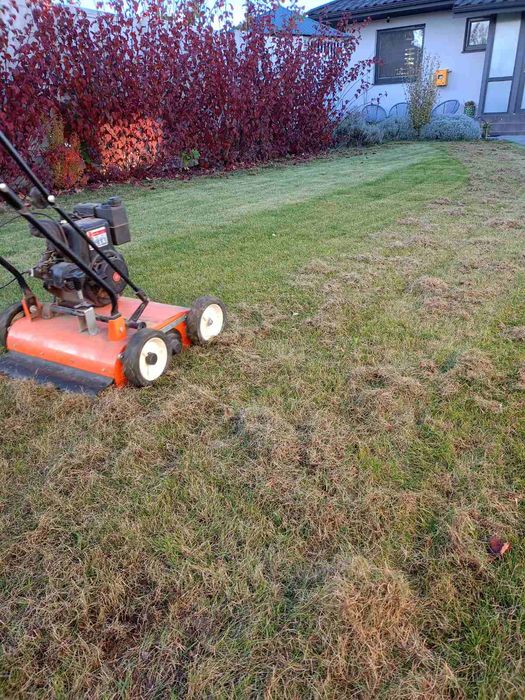 Скарифікація та аерація газону, вичісування старої трави мохів