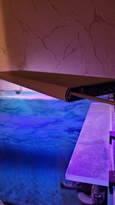 Угловой аквариум с тумбой