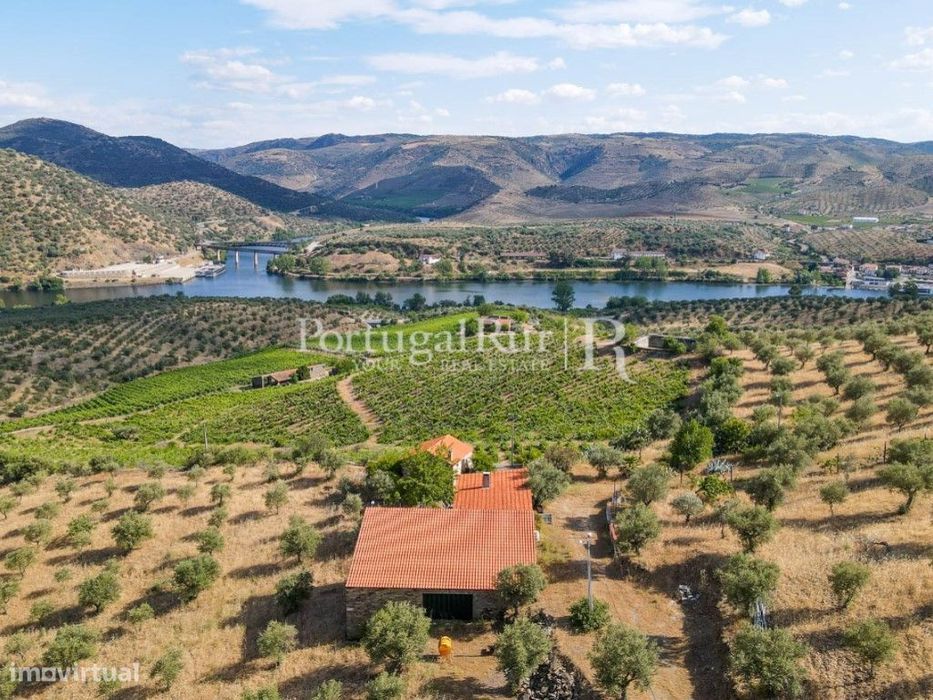 Quinta em Barca D'Alva - Douro