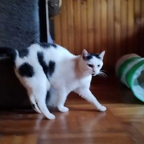 Czy ktoś ją kiedyś pokocha?..
