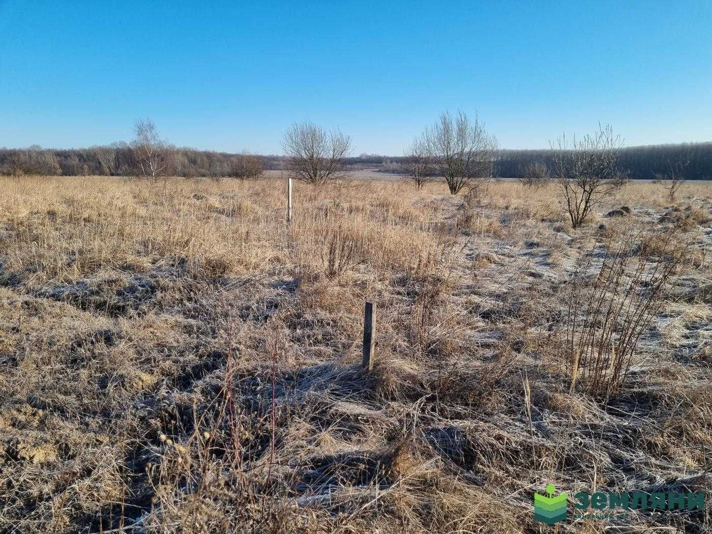 Продаж земельної ділянки 12 сот під будівництво с.Колодіївка
