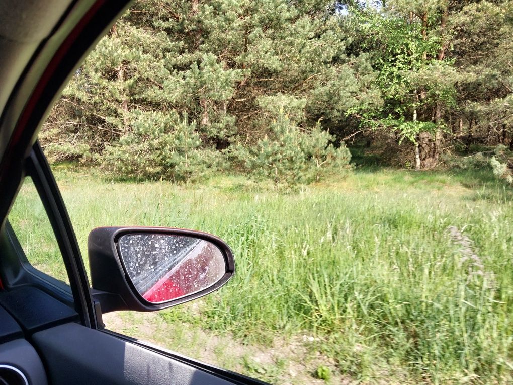 Wydzierżawię działkę z dostępem do rzeki Borsk