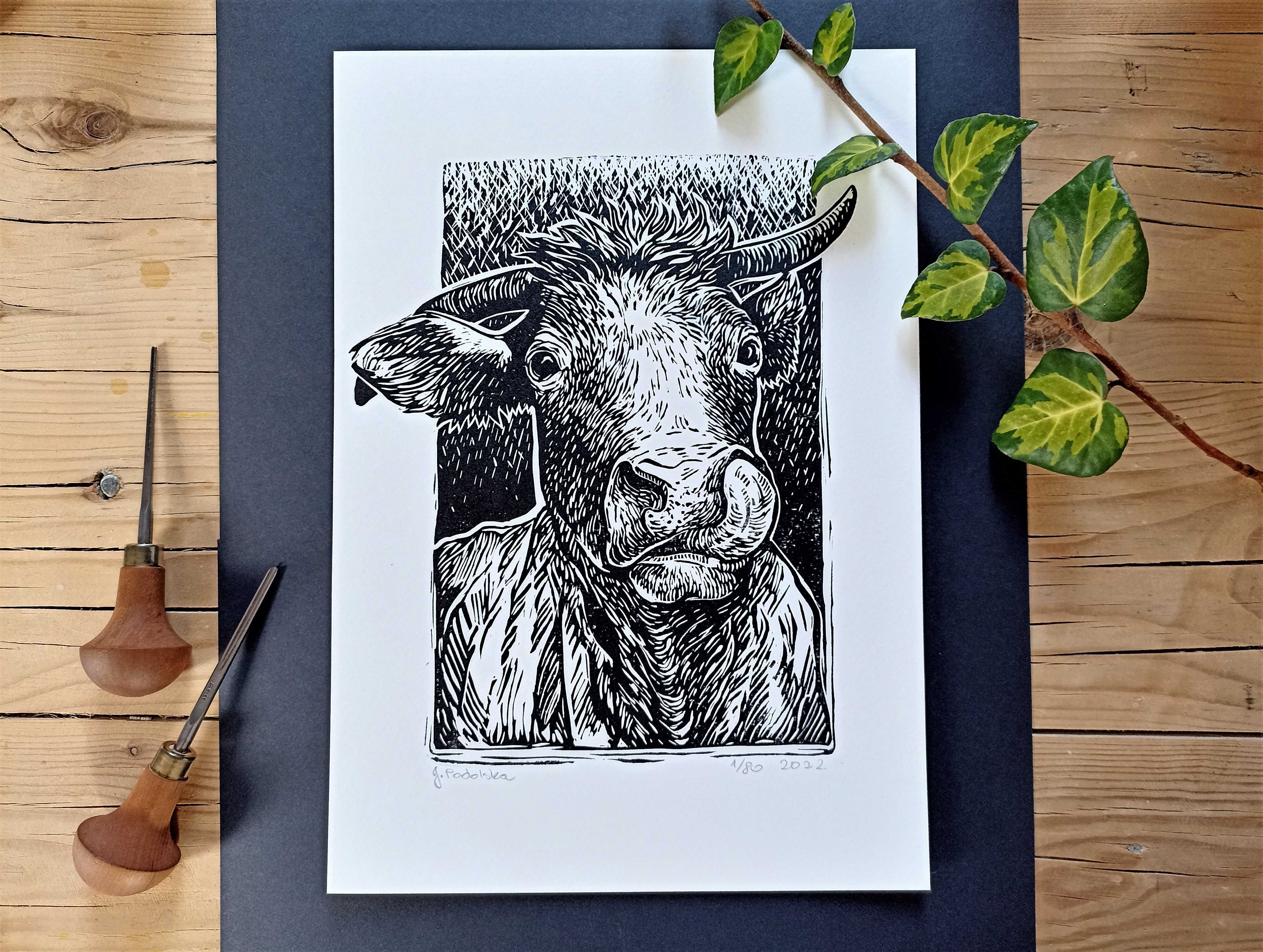 Linoryt, ręcznie wykonana grafika A4, krowa, limitowana edycja
