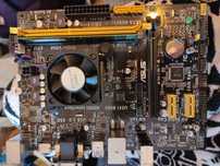 Asus placa AM1M-A