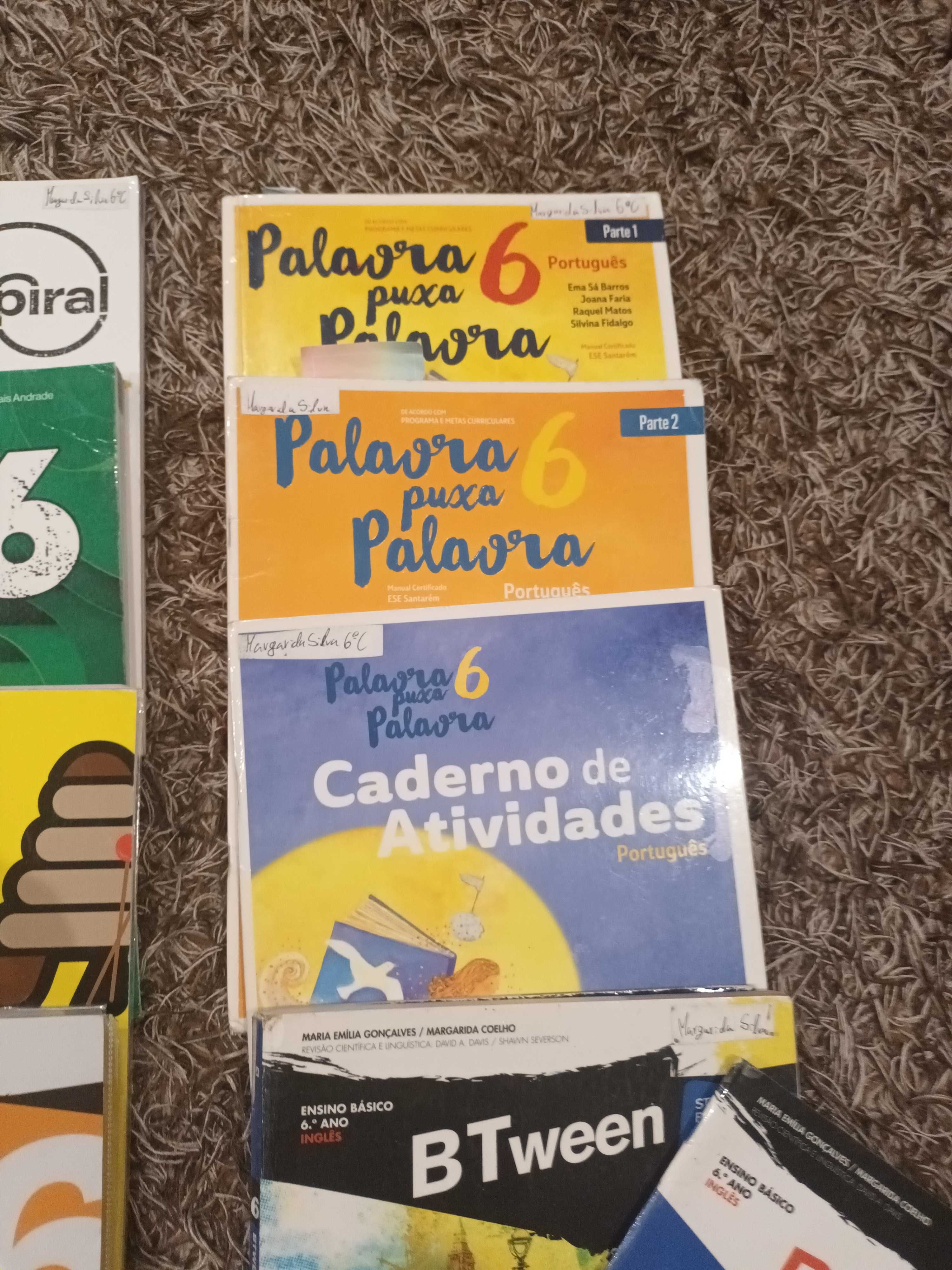 Vendo livros do 6 Ano