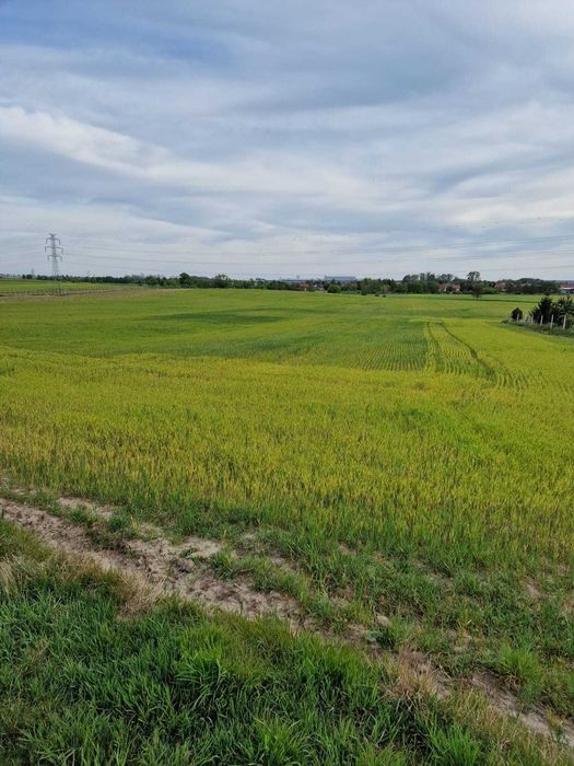 Sprzedam działkę budowlaną 900m2 Święte Środa Śląska