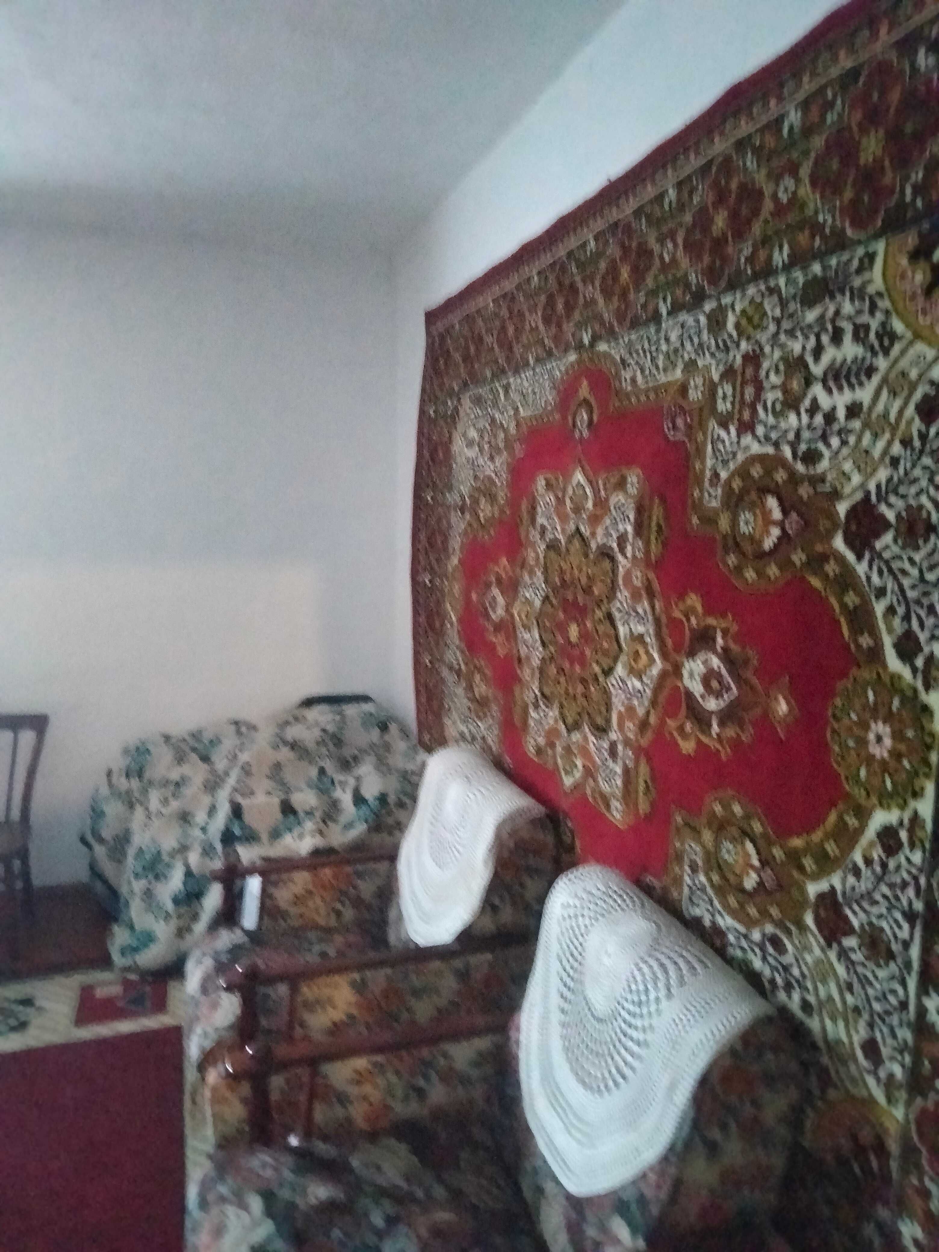 Продається будинок, літня кухня, гараж,  в с. Іванівка Житомирський р.