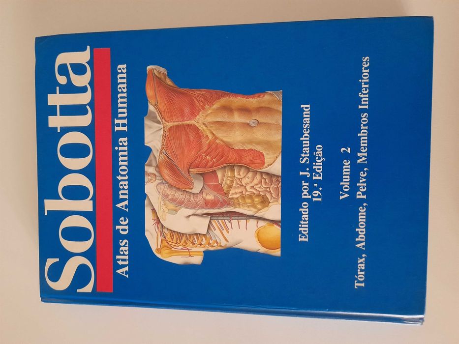 Sobotta 19 Edição