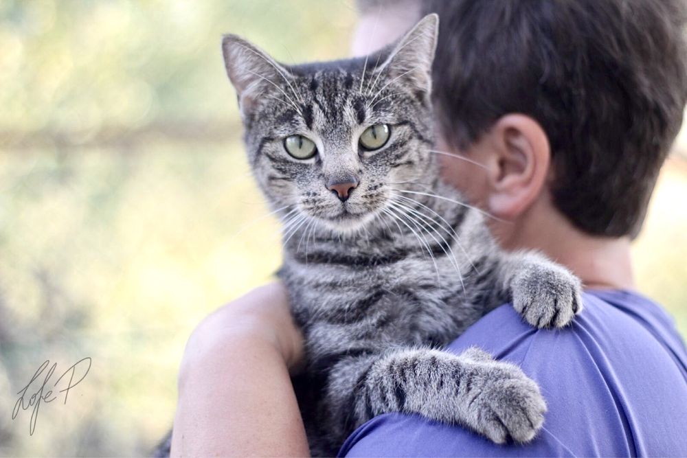Piękna, spokojna i kochana Channel czeka na dom!