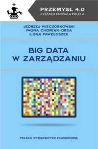 Big data w zarządzaniu - Jędrzej Wieczorkowski, Iwona Chomiak-Orsa, I