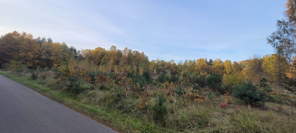 Działka przemysłowa-rolna