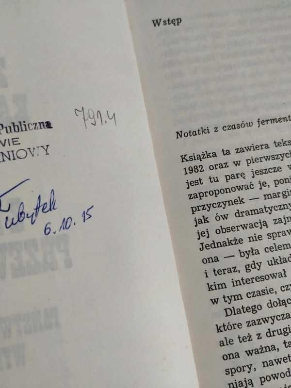 Widok z pozycji przewróconego - Zygmunt Kałużyński