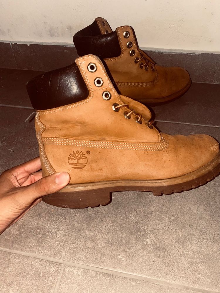 Bota timberland