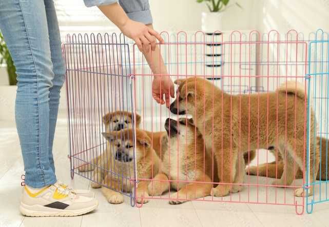 Ограждение аренда клетка манеж с дверкой для собак кошек щенков 6-секц