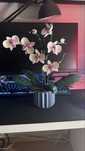 lego botanicals orchidea 10311