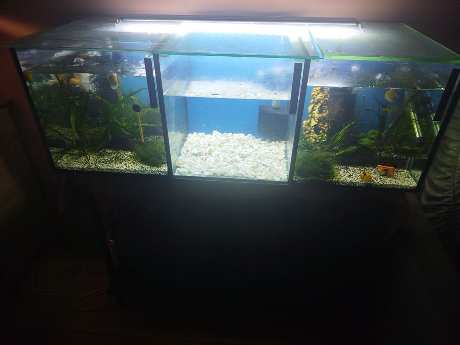 Witam sprzedam akwaria w dobrym stanie