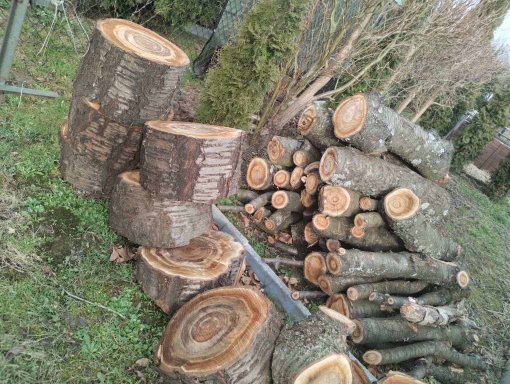 Sprzedam drewno opał drzewo opałowe 2 m3 całość, większość cześniowe