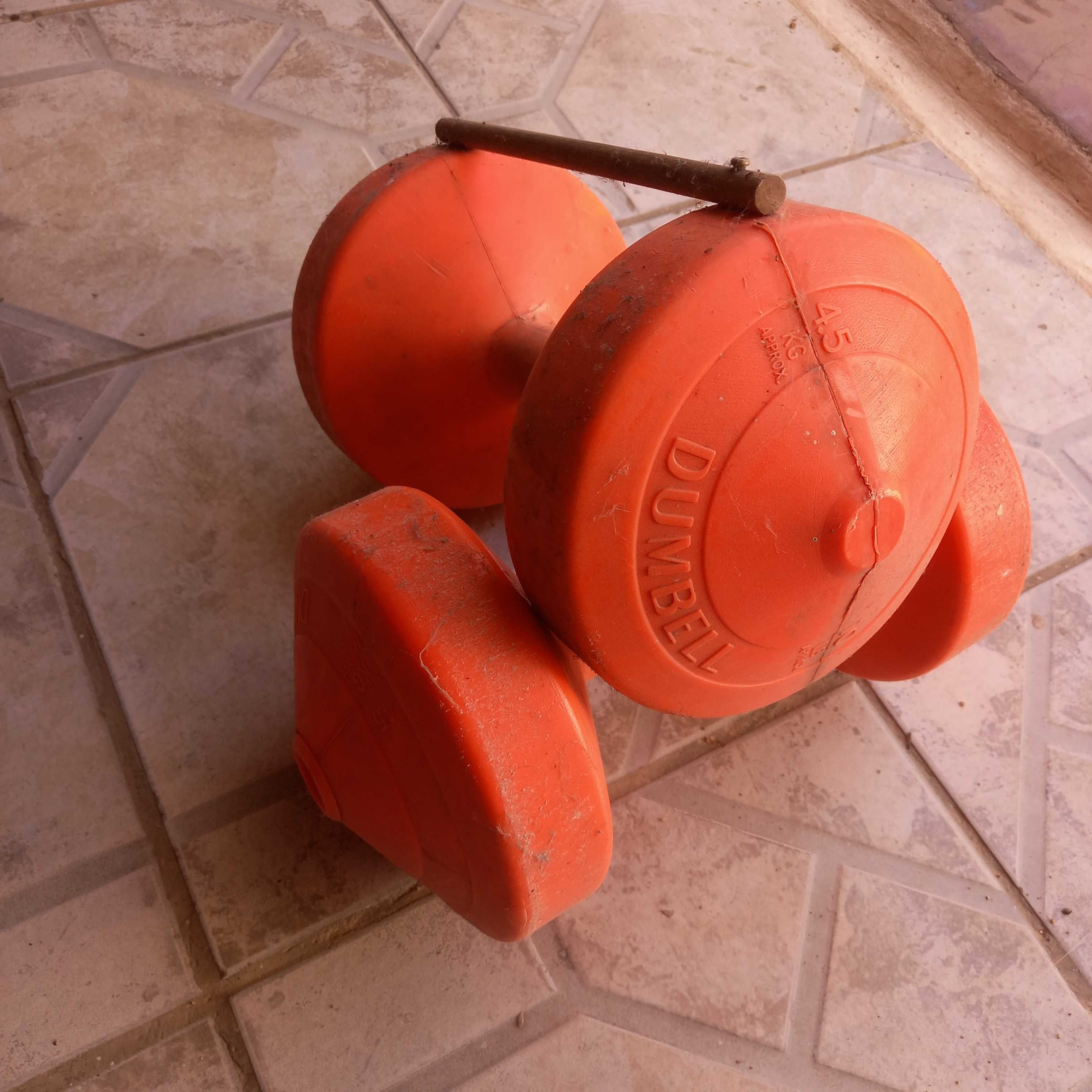 Alteres de 5kilos cada