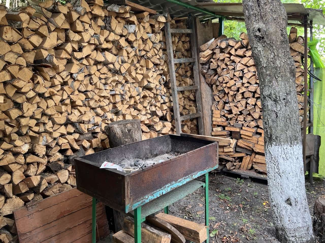 Житло біля Десни