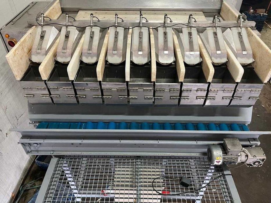 Waga kanałowa 2009 XBG do warzyw, ziemniaków cebuli marchwi pietruszki