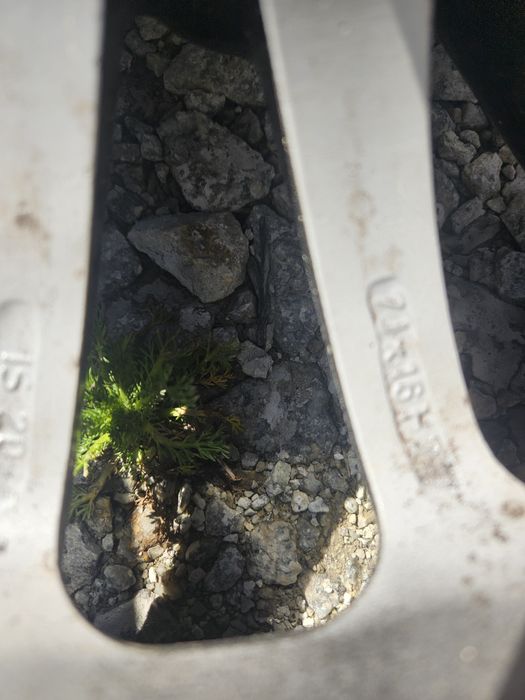 Koło dojazdowe BMW E60 E90 E87 E46 E36 E61 E91 E92 E81 ZAPASOWE r16