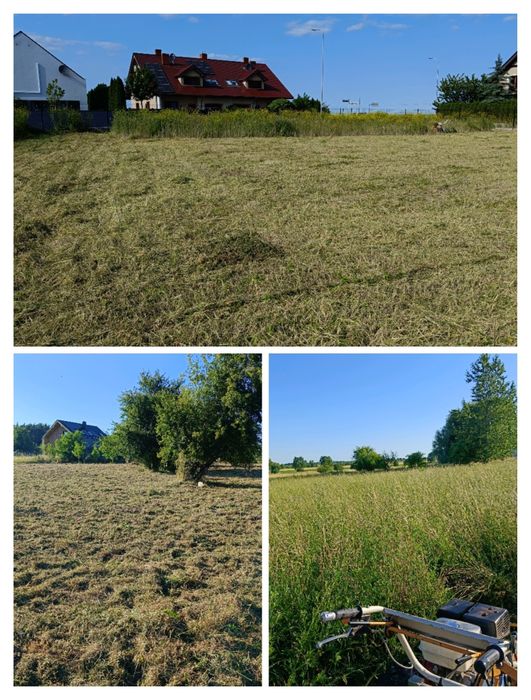 Karczowanie i czyszczenie działek i terenów