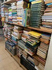 Lote de cerca de 1300 livros variados